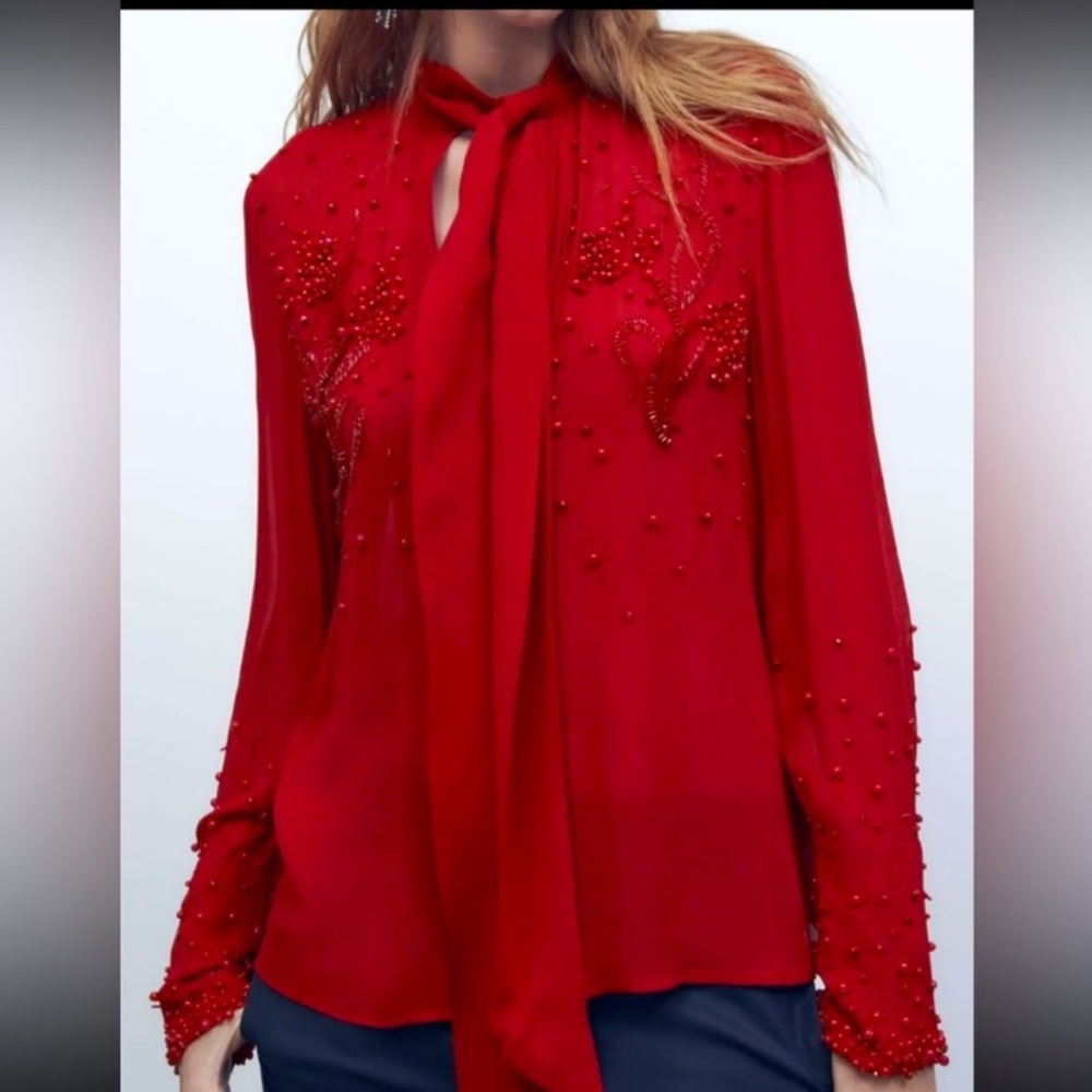 Zara Top - Picture 1 of 11